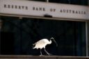 Australia central bank raises rates to decade-high, warns more to come