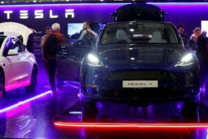 Several Chinese state firms in Shanghai buy Tesla Model Y cars