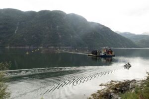 Norway salmon farming industry grapples with harsh climate effects