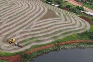 Soy grown illegally on Brazil's tribal lands finds its way to global markets