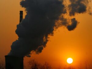 Climate target group in turmoil over carbon offsetting plan
