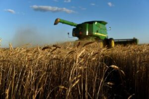 Analysis-US wheat farmers face bleak crop economics as grain oversupply hits