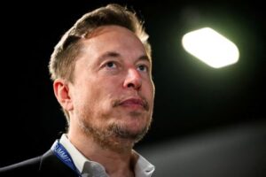 Analysis-Wall Street wants answers from Musk on Tesla's affordable car