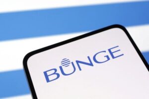Bunge Q1 profit falls on lower agribusiness results, shares sink