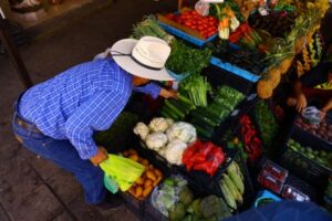 Mexico economy grows 0.2% in Q1 from previous quarter